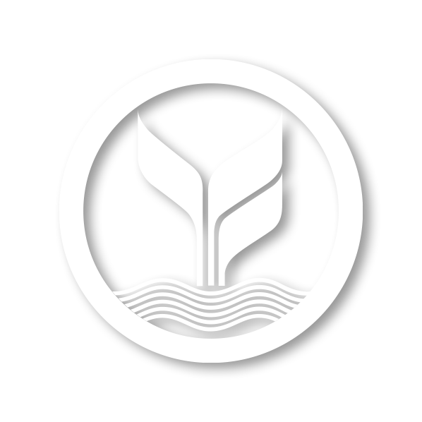 bank